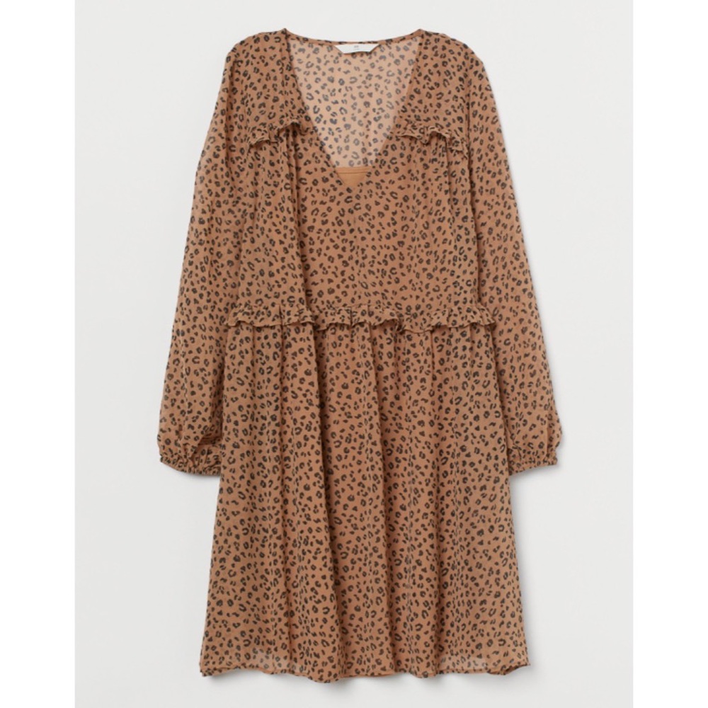 H&M Chiffon Ruffle Dress